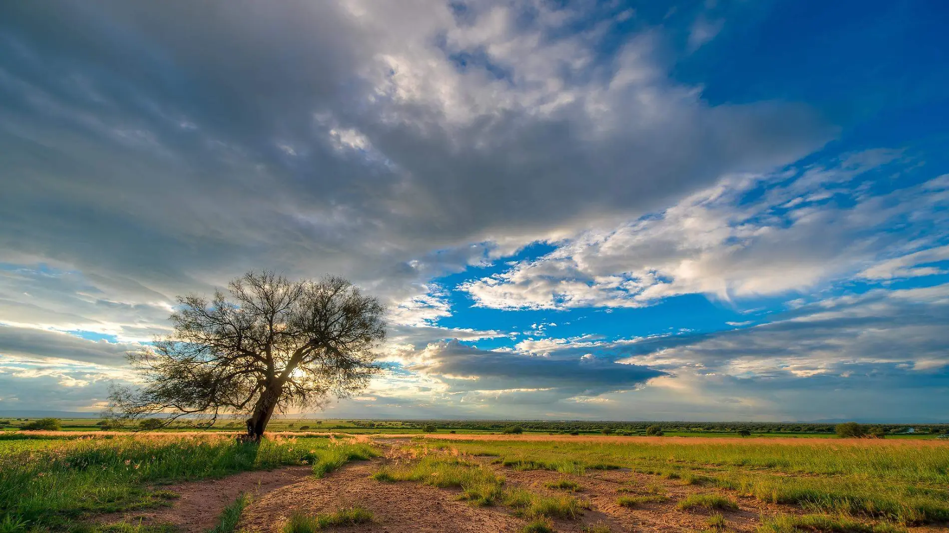 cielo, dura